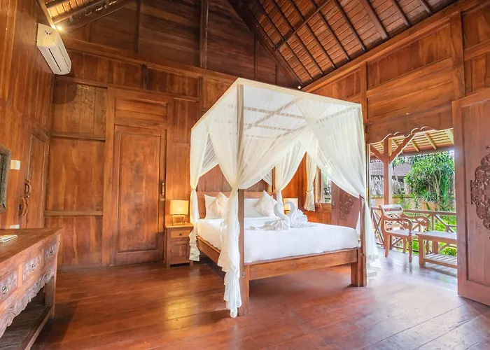 Zone * Ubud