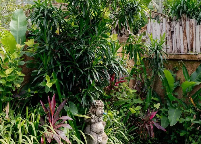 Zone * Ubud